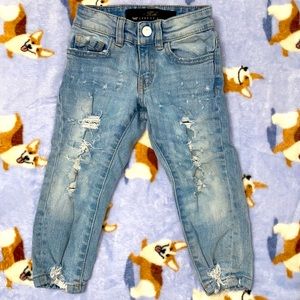 Jordan Craig Jeans